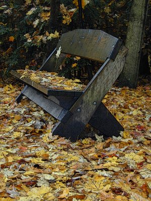 bench among the leaves...