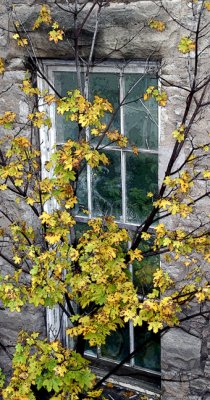 window of the cave...