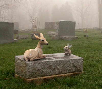 stone with fawn and bunny... in the fog...
