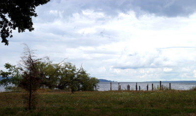 Seneca Lake view thru trees.....