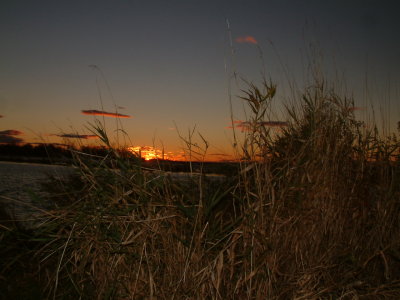 Au lac St-Pierre.JPG