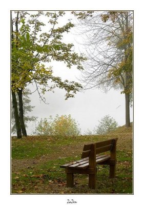 solitude brumeuse sur les bords de Marne