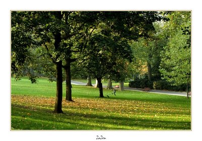 le parc du Raincy 03