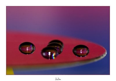 g6/81/700881/3/74158572.xDwBq2p0.jpg