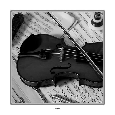 violon 4