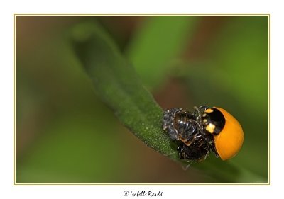 g6/81/700881/3/79321899.OhmXb7Uz.jpg