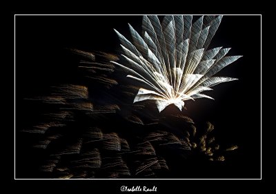 feux d'artifices 2007
