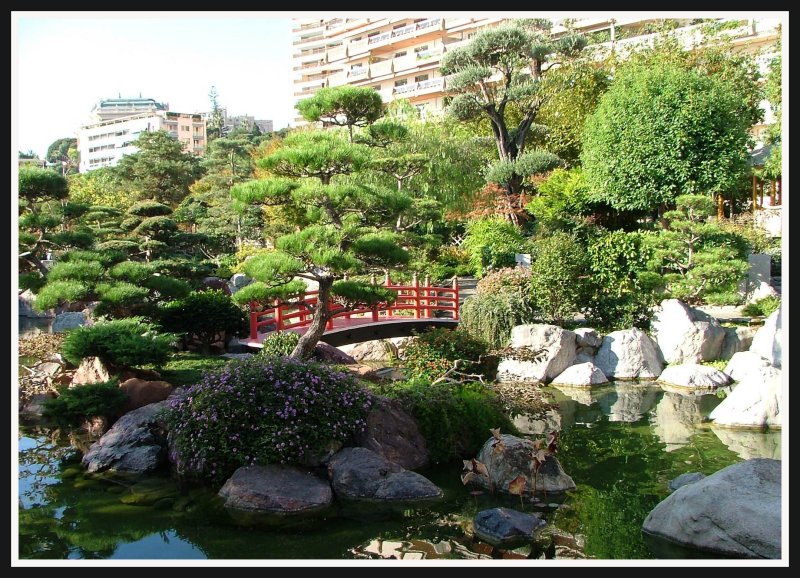 Japanese garden