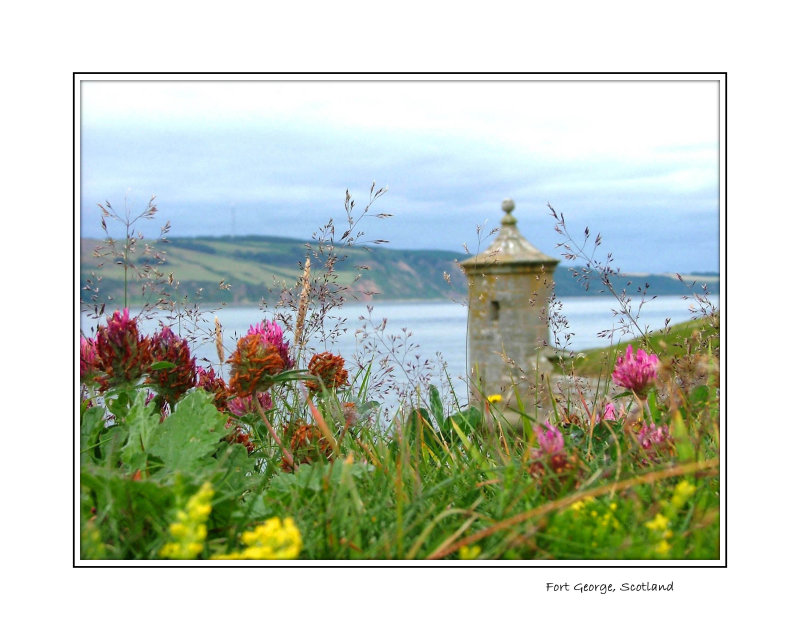 Fort George