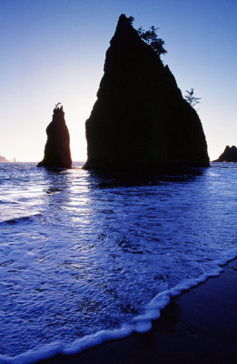 Sea Stacks