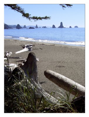 Third Beach - La Push