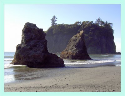  Ruby Beach  Sea Stacks