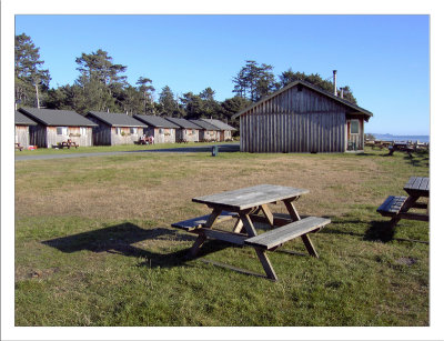 Cabins Near Kalaloch Lodge