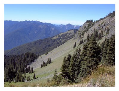 View From the Trail