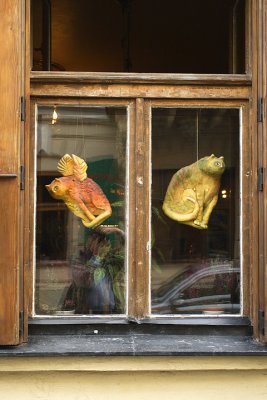 Flying-cats
