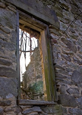 Peeking through a window
