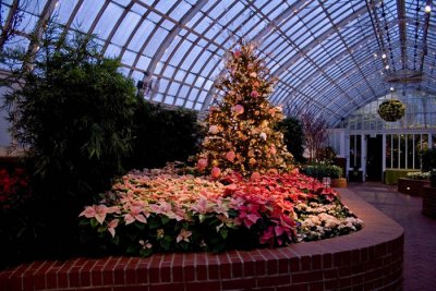 One of the many Christmas Trees displayed in Phipps