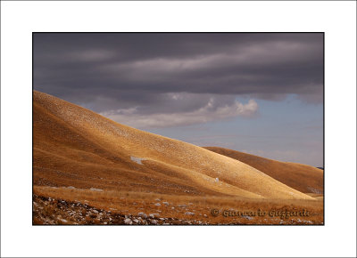 gold_02