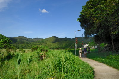 Insects Photography at Wu Kau Tang and Luk Keng