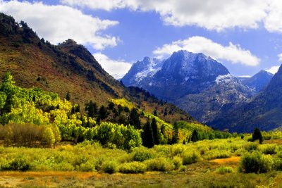June Lake loop scene