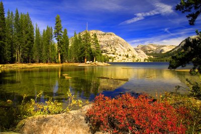 Tenaya Lake