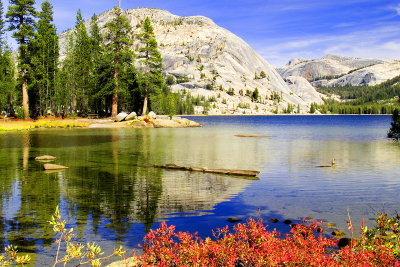Tenaya Lake