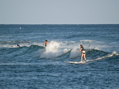 South Shore surfing