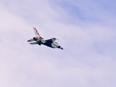 P9135350 copy.jpg