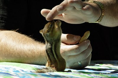 A furry little friend
