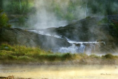 A Misty Morning