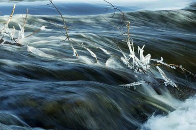 Cold Waters Flow