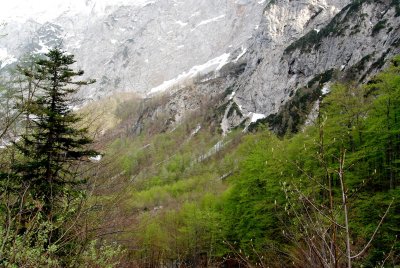 Spring in Slovenian Mountains 2013