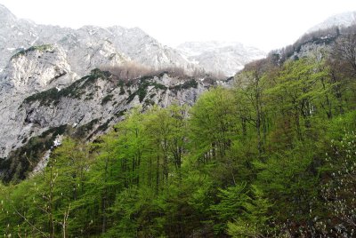 Spring in Slovenian Mountains 2013