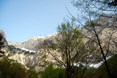 Spring in Slovenian Mountains 2013