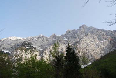 Spring in the Mountains - Logarska valley Slovenia