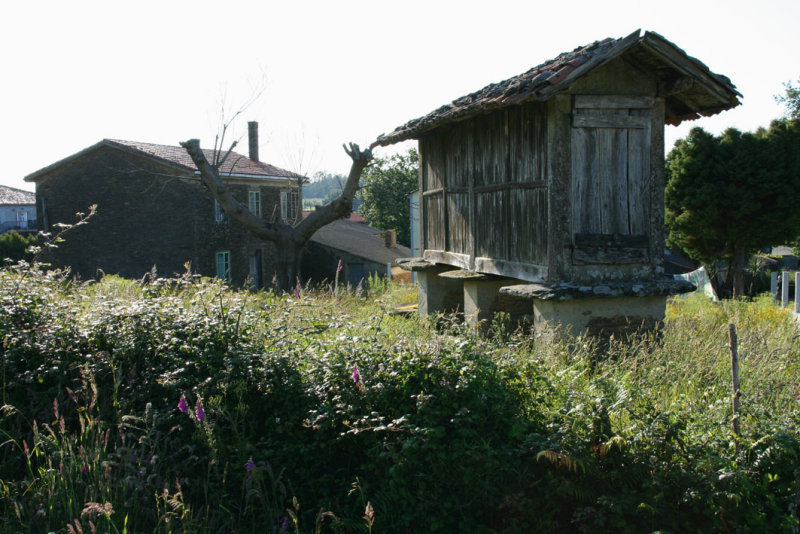 Hrreo