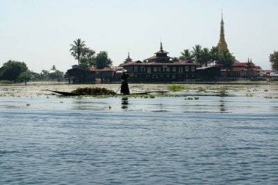 IMG_2505.JPG