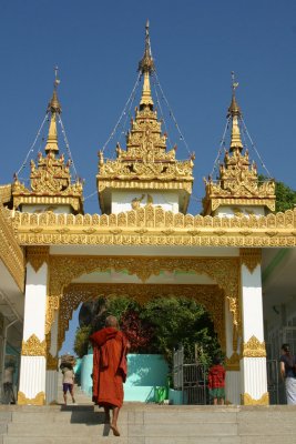 IMG_2645.JPG