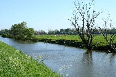 The river Yser