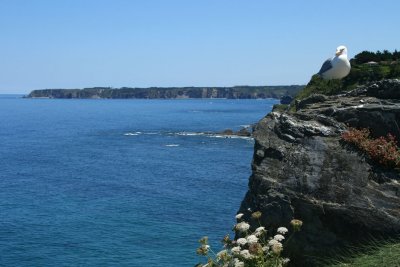 Coastline
