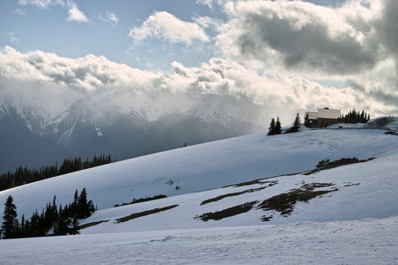 Hurricane Ridge