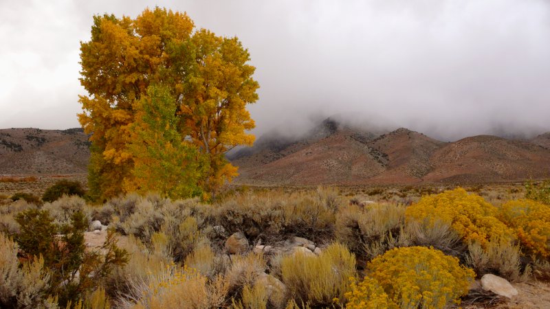 Approaching storm, Onion Valley, California, 2006