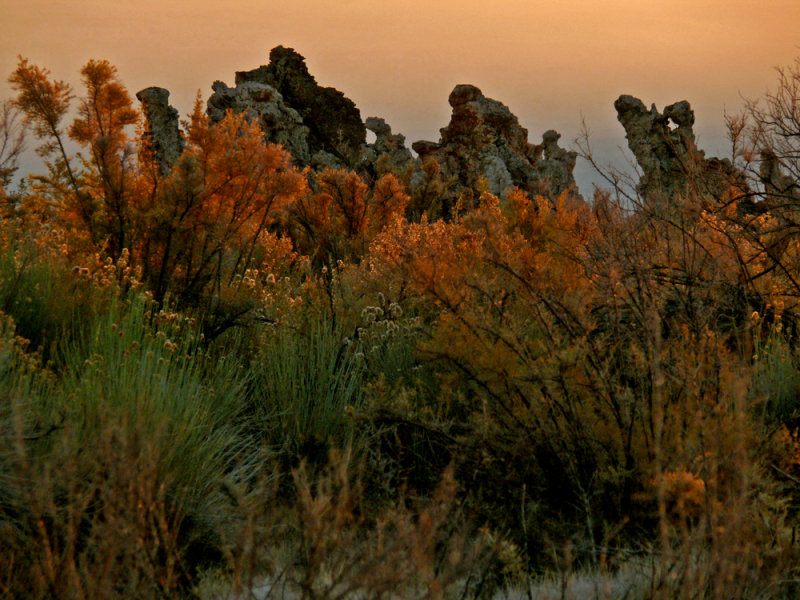 Pre-dawn, Mono Lake, California, 2006