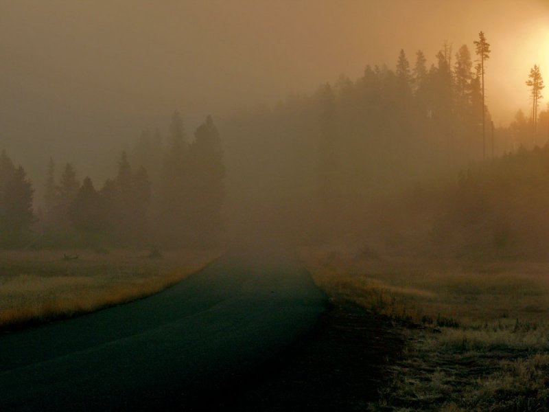 Foggy Sunrise, Yellowstone National Park, Wyoming, 2006