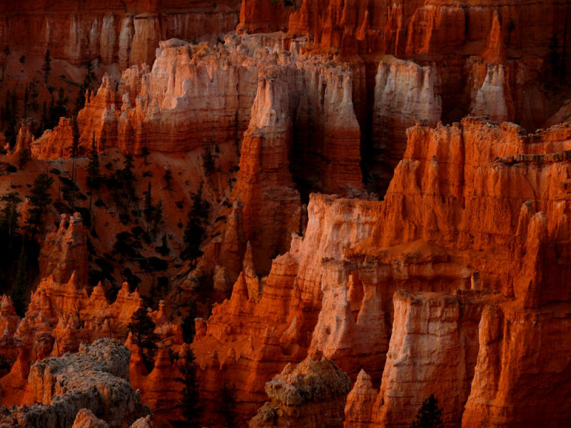 Colors of dawn, Bryce Canyon, Utah, 2006