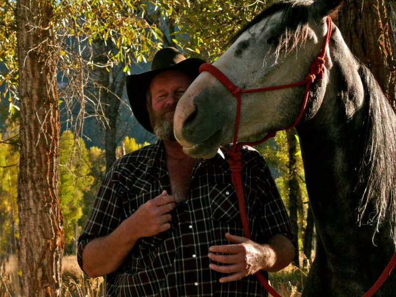 Nuzzle, Fall Creek horse camp, Bridger National Forest, Wyoming, 2006