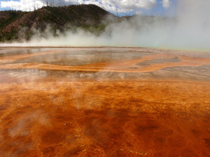 Grand Prismatic Spring, Yellowstone National Park, Wyoming, 2006