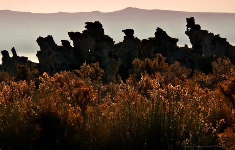 Mono Parade, Mono Lake, California, 2006