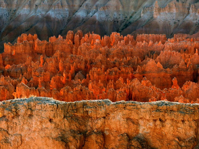 Transition, Bryce Canyon, Utah, 2006