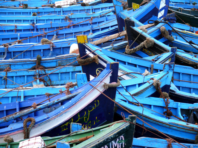 Fishing fleet, Essaouira, Morocco, 2006